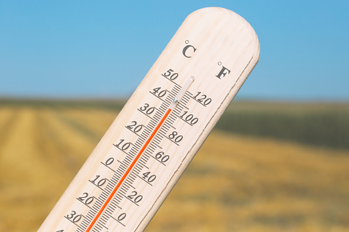 Canicule : Procédures d&rsquo;indemnisation des pertes en lien avec les aléas climatiques