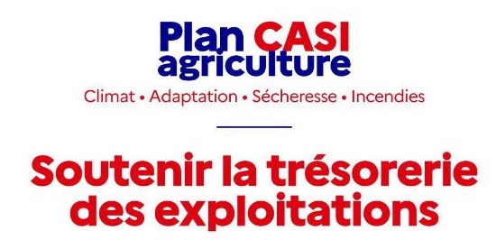 Sécheresse : nouvelles annonces de la ministre de l’Agriculture